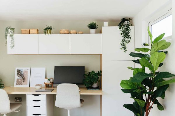 Naturaly inspired home office with massive mental health benefits