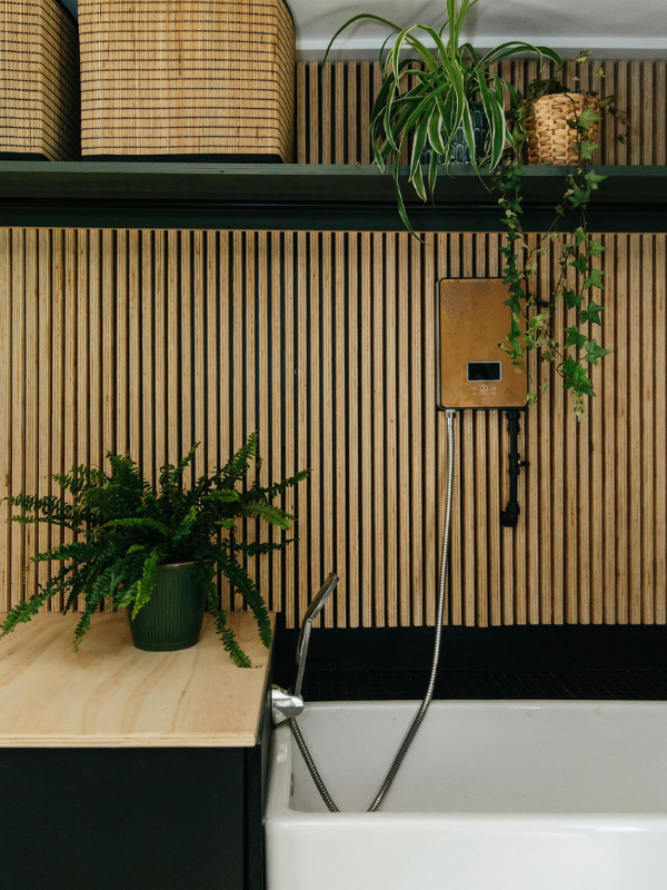Wooden paneling with sink and plants