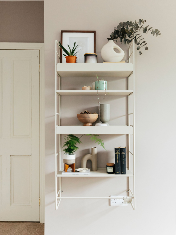 shelving unit with a variety of plants