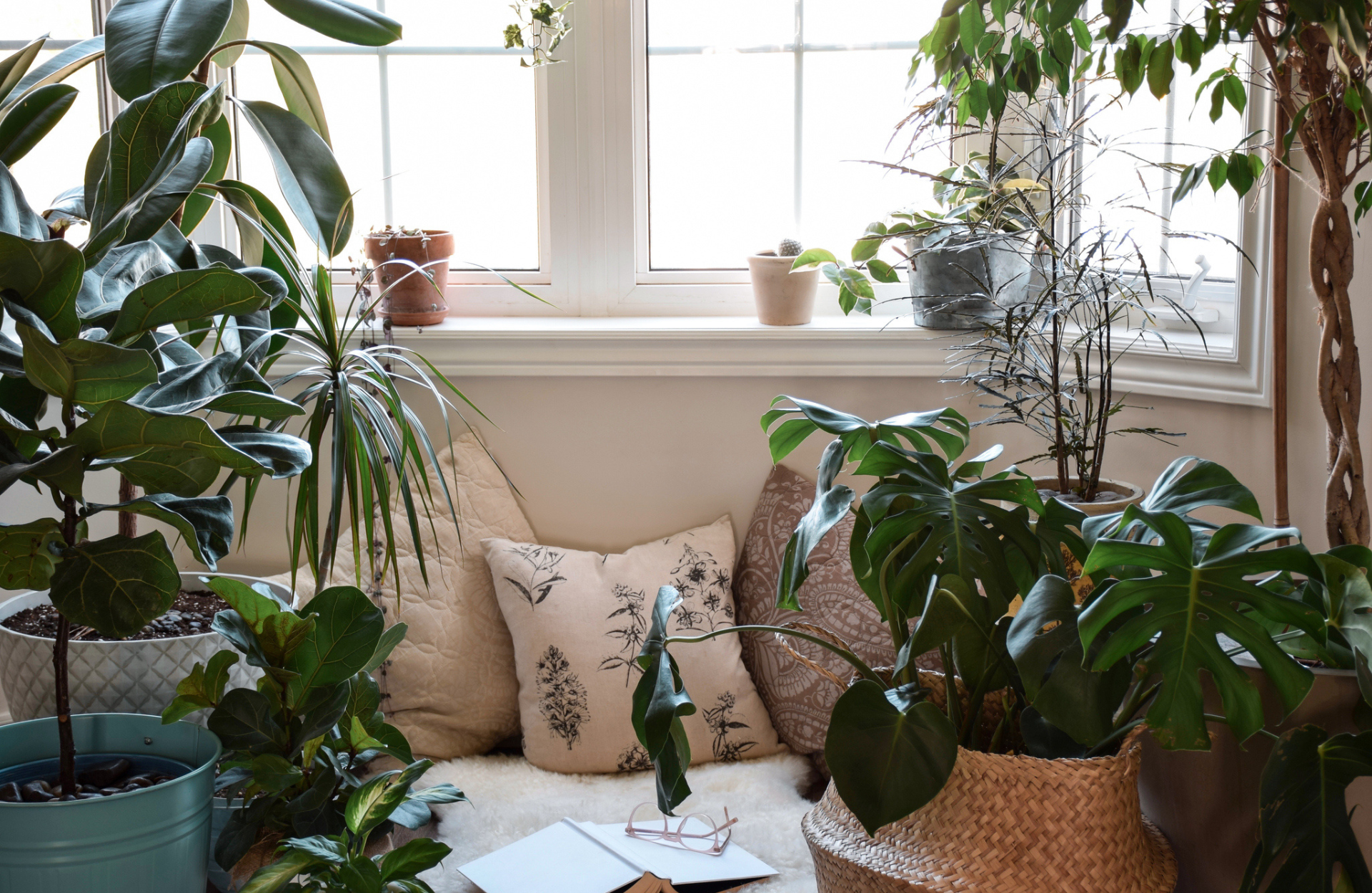 reading nook with  plants, pillows and blankets