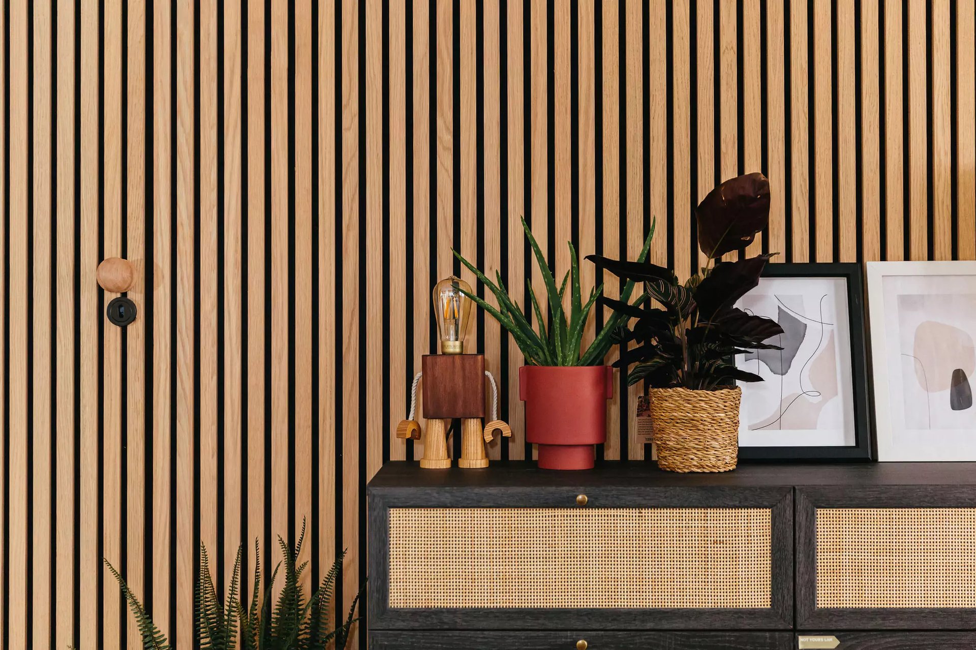 Panelled wall with house plants