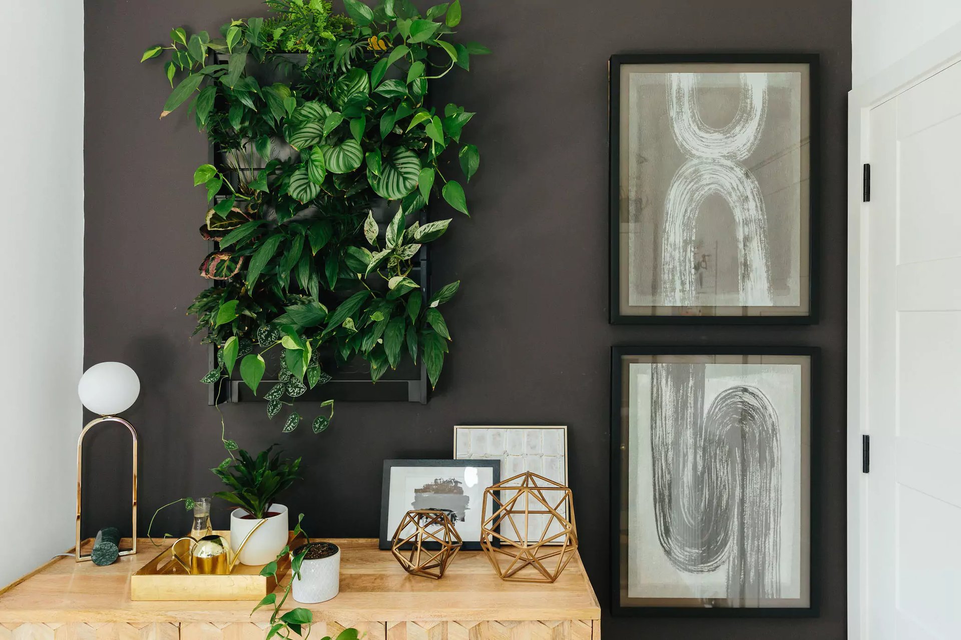 How to create a zoom background with a feature wall | dark grey wall with climbing plants