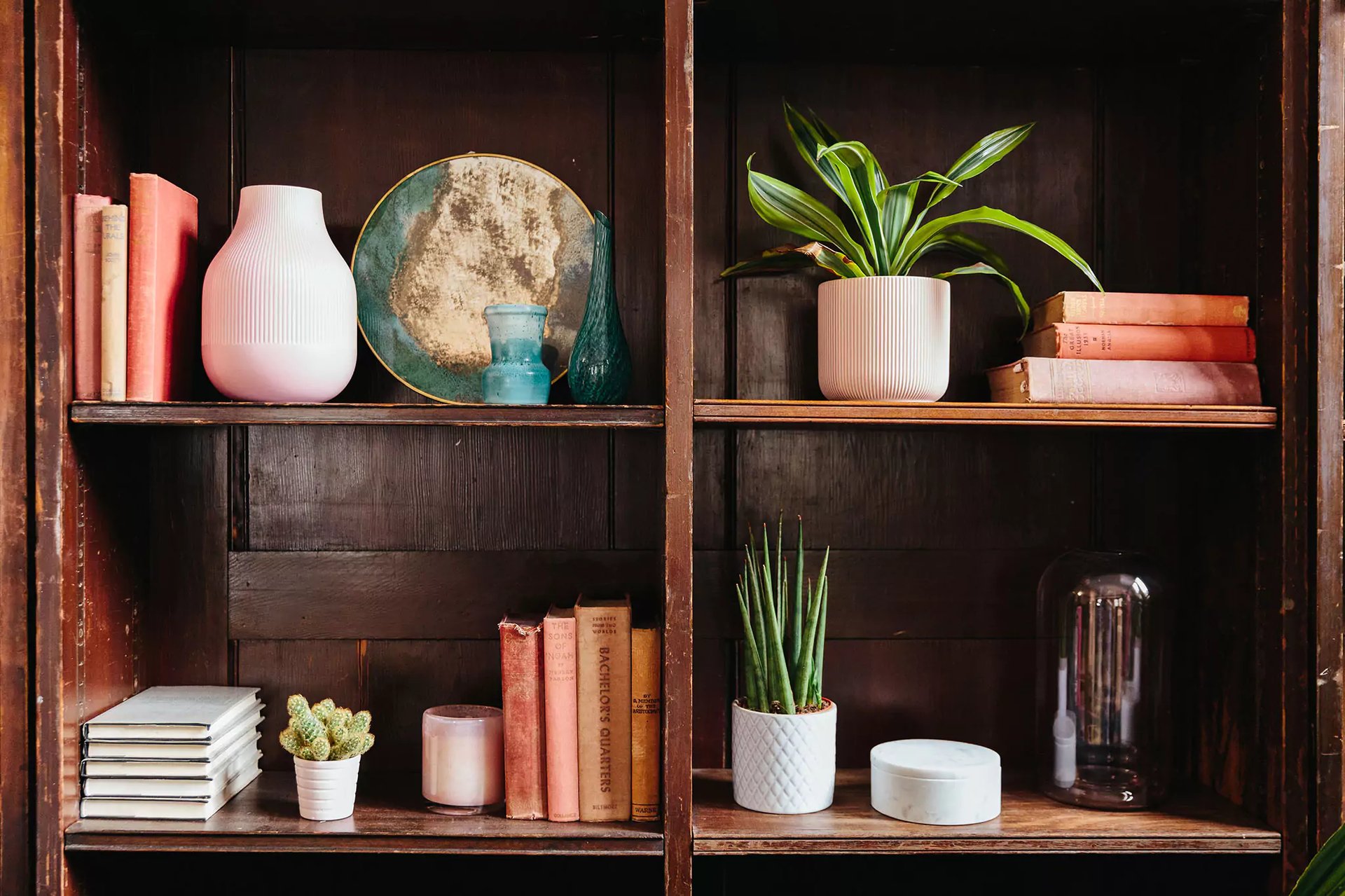How to style shelves | Shelf with books and house plants
