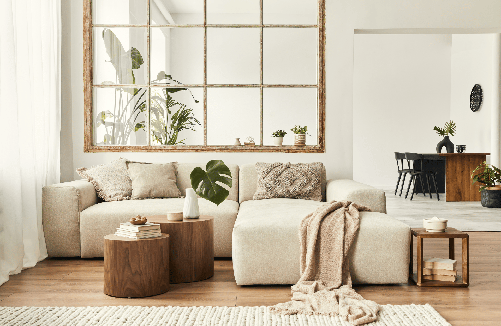 Neutral living room with houseplants