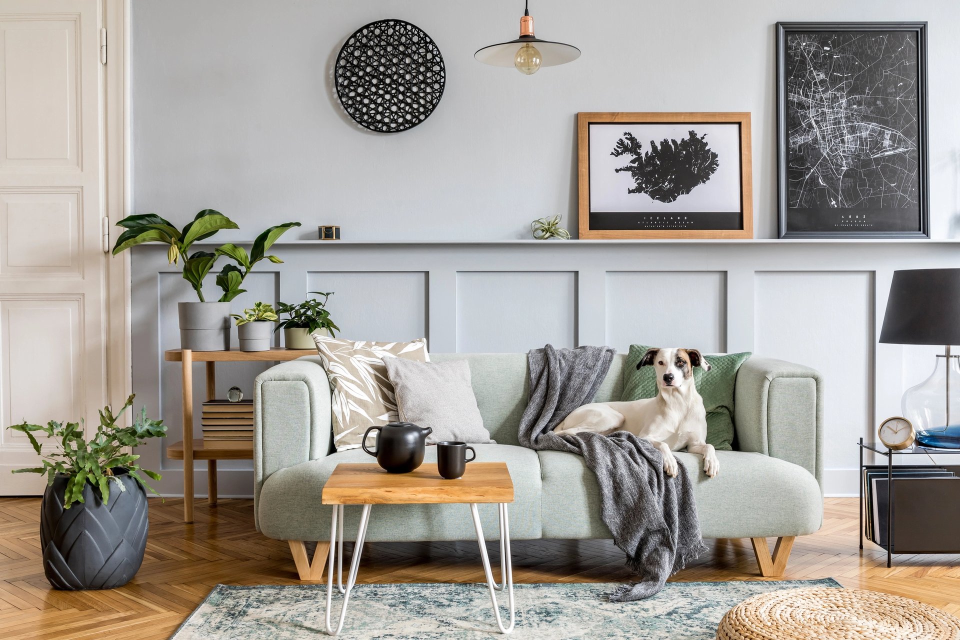 a grey living room colour scheme